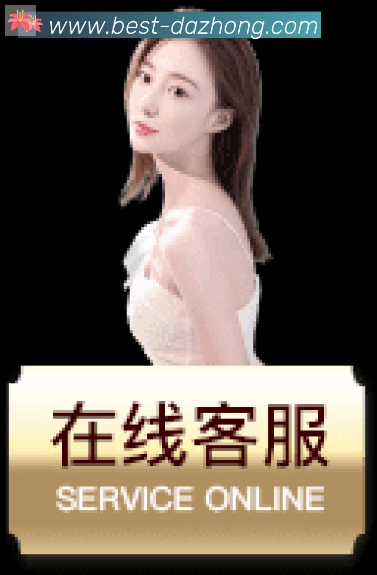 登录器